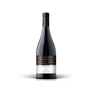 Marco Real Campustauru by Martin Berasategue Ribera del Duero